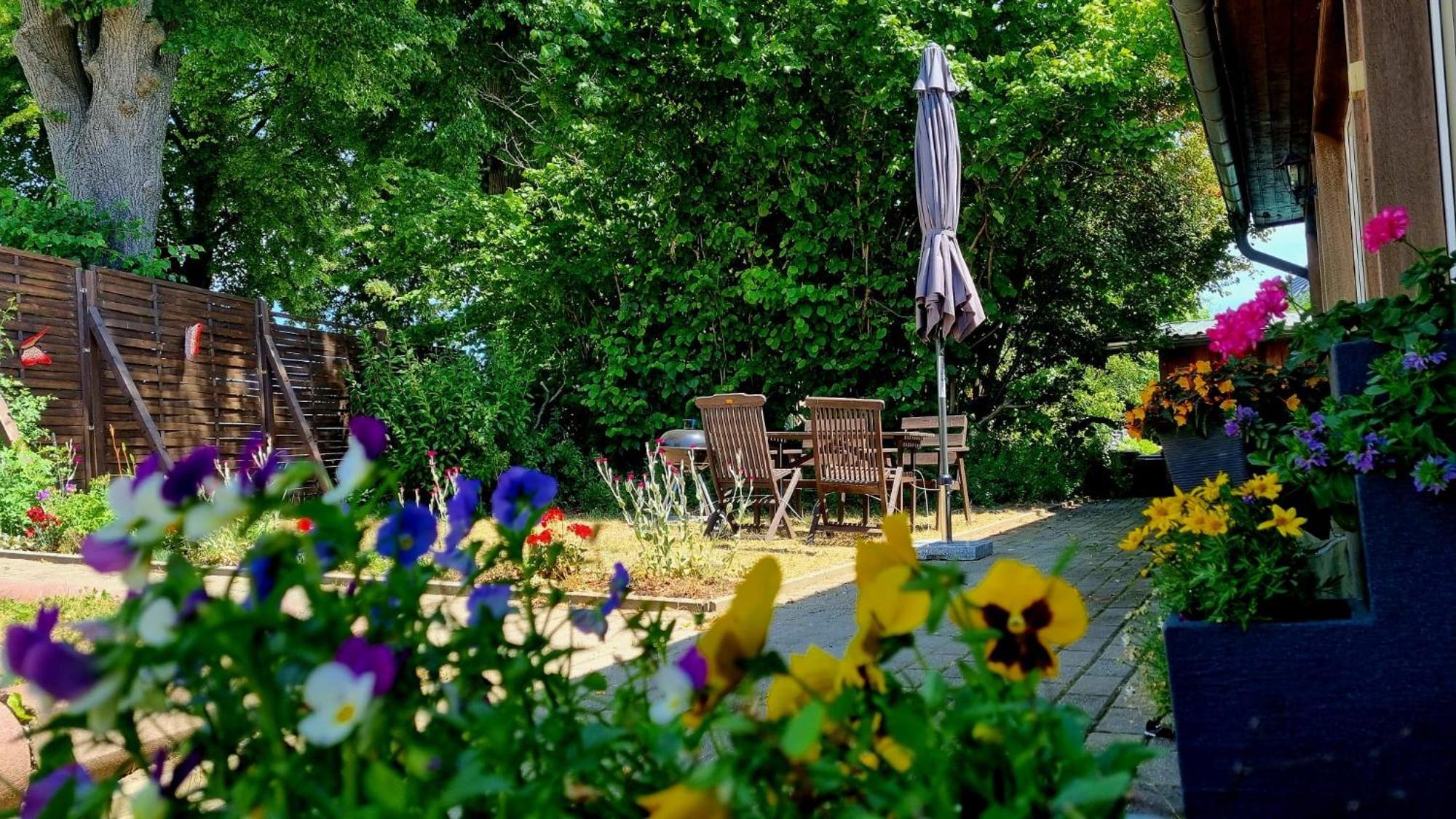 W5 - Urlaubsmagie - Wohnung Mit Grill, Terrasse & Pool Lichtenhain  Luaran gambar