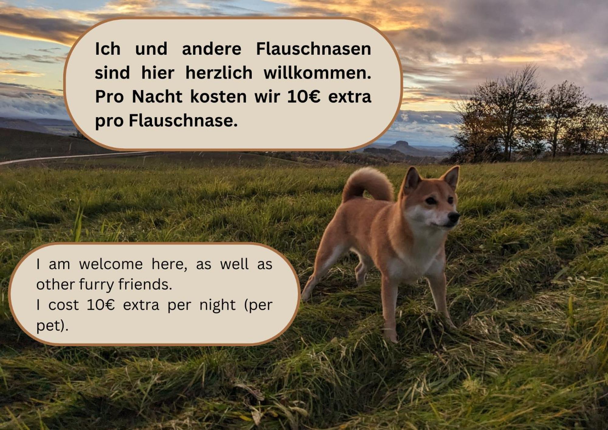W5 - Urlaubsmagie - Wohnung Mit Grill, Terrasse & Pool Lichtenhain  Luaran gambar